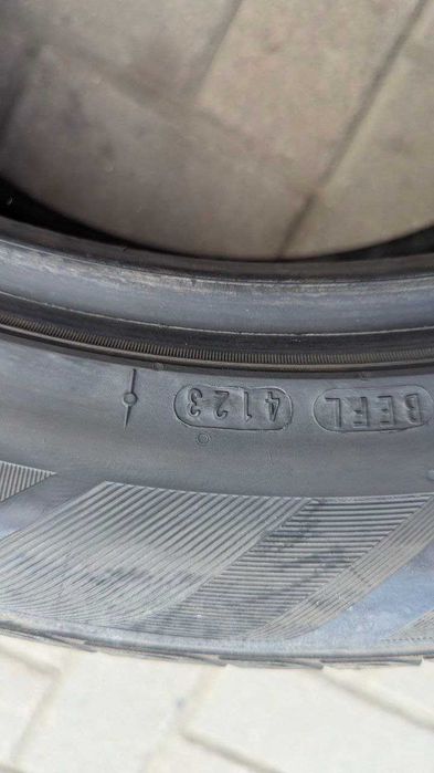 Шини 255/50 R20 105H Nexen NPriz RH7