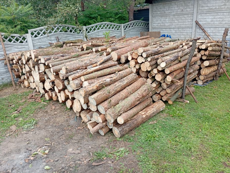 Drewno opałowe SOSNA