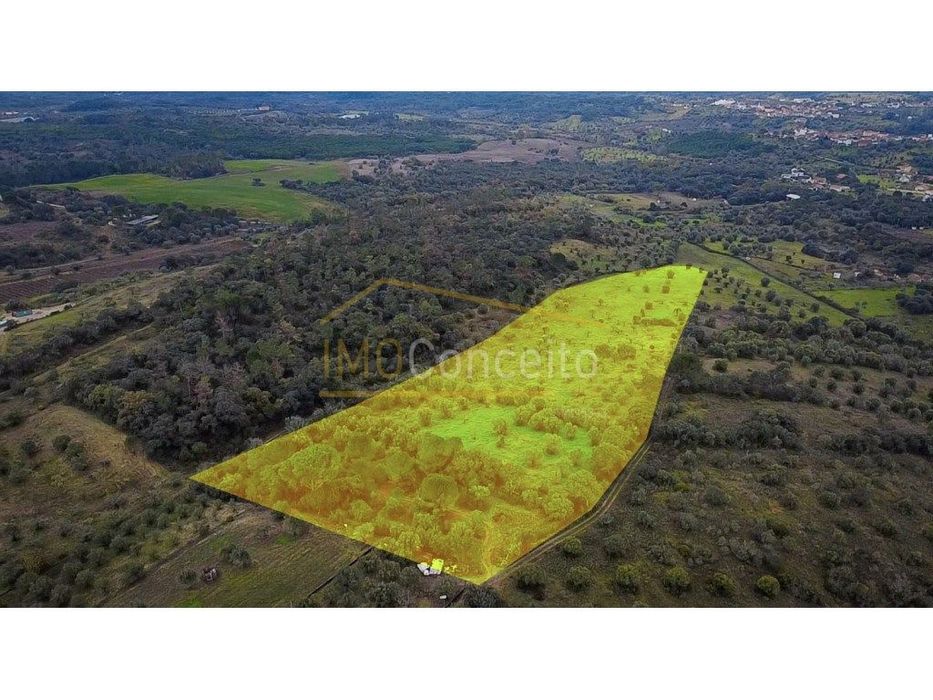 Terreno rústico 1ha - Moreiras Grandes (Torres Novas)