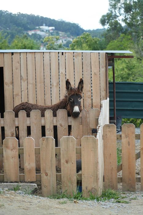 Quintinha de Sá - espaço para convívios,  festas  e eventos