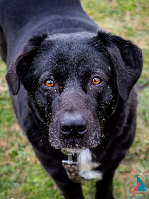 Mateus 554/24 - SZUKA DOMU!