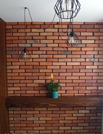Płytki z cegieł, stare cegły,loft, środki
