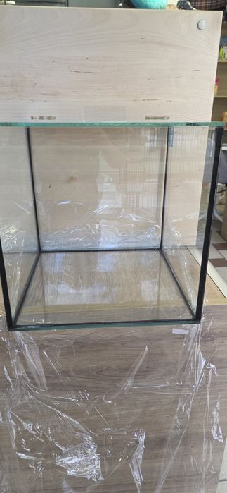 Nowe małe terarium