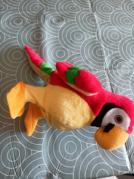 Maskotka papuga.