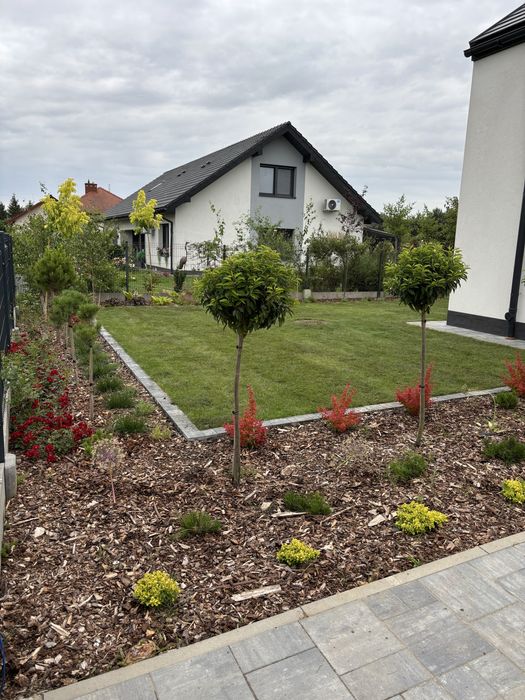 Usługi ogrodnicze, koszenie, zakładanie trawników, przycinanie tuj