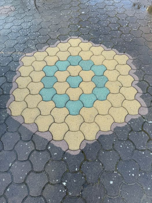 Profesjonalne mycie/czyszczenie kostki brukowej