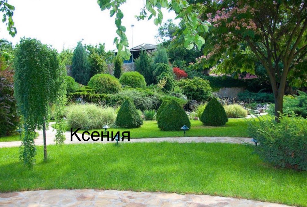 Современный дом на фонтане с бассейном в кооперативе