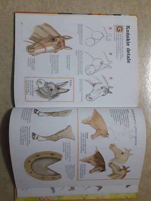 Książka edukacyjna