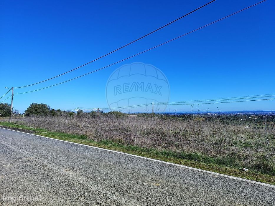 Terreno  para venda — Brogueira, Parceiros De Igreja E Alcorochel, Santarém