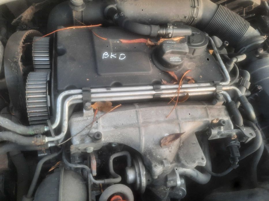 Seat Toledo  III 2.0 TDI głowica