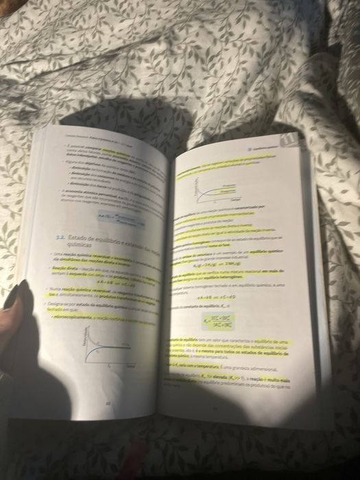 Livro resumos física e química A