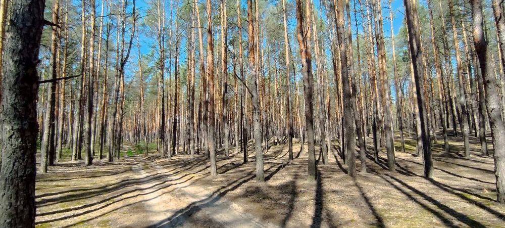 Земельна ділянка 20 соток