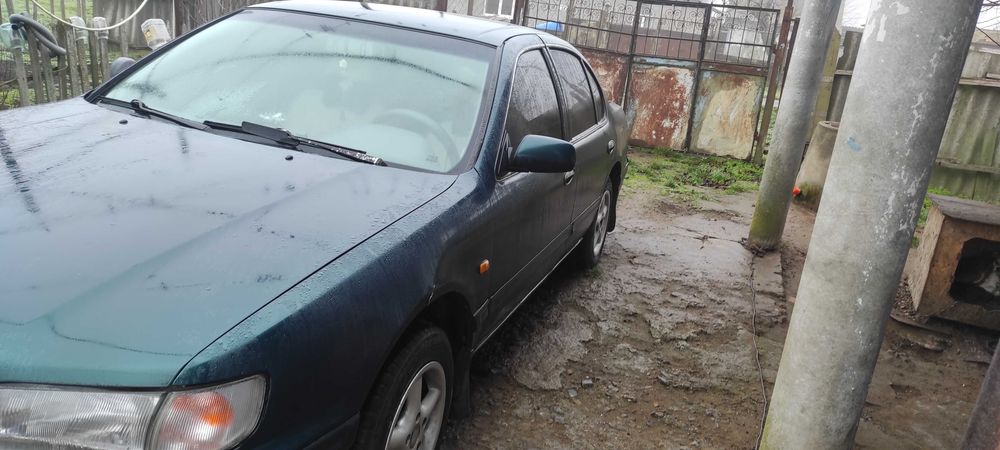 Продам максиму в нормальном состоянии