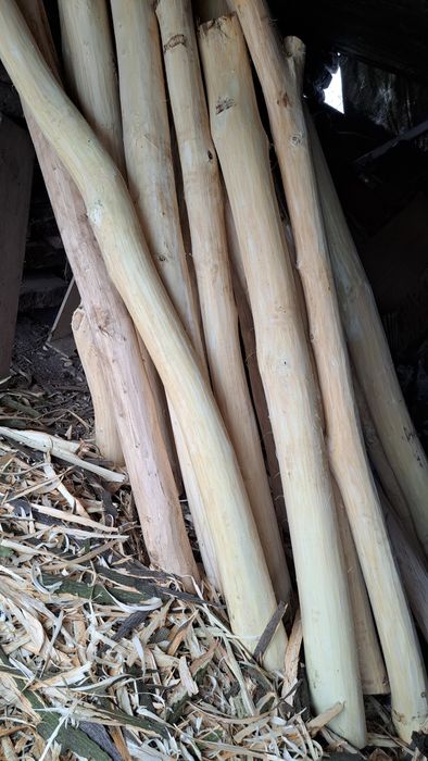 Bale stemple z klonu  na huśtawkę słupki  lub inne