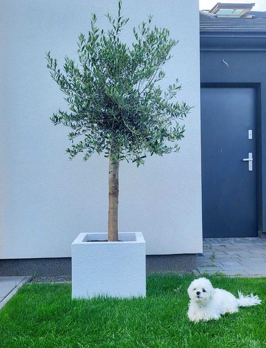 Super Lekkie Termo Donice