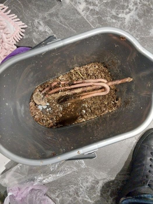 Ремонт бойлера  водонагревателя чистка установка продажа