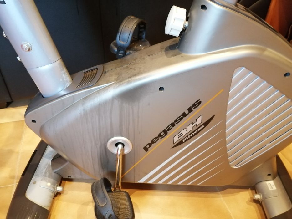 Bicicleta bh pegasus