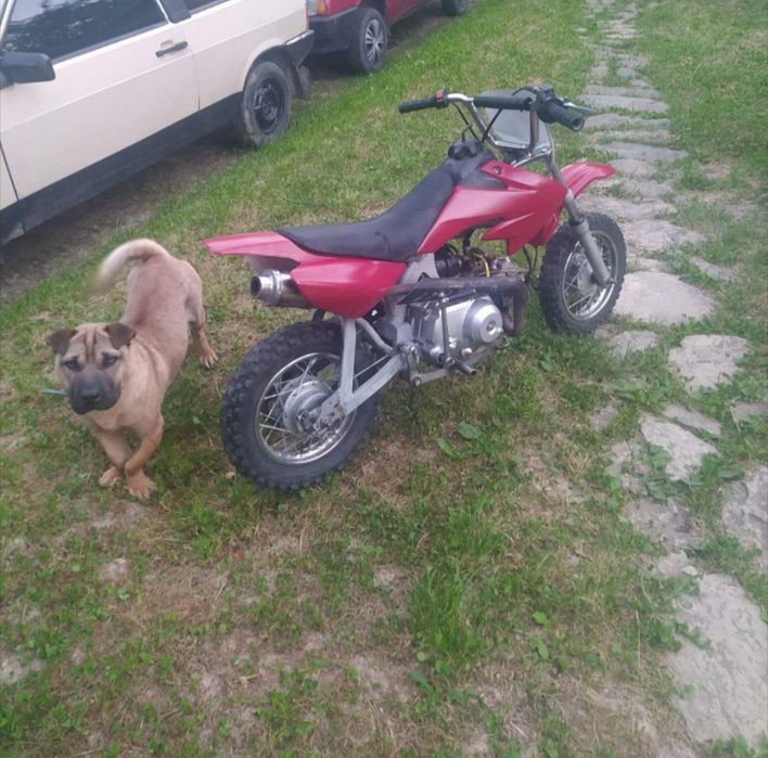 Продам дитячий міні кросс