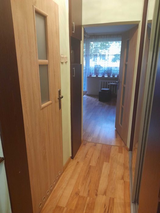 Apartment in Świętochłowice, Piaśniki - Widok 4