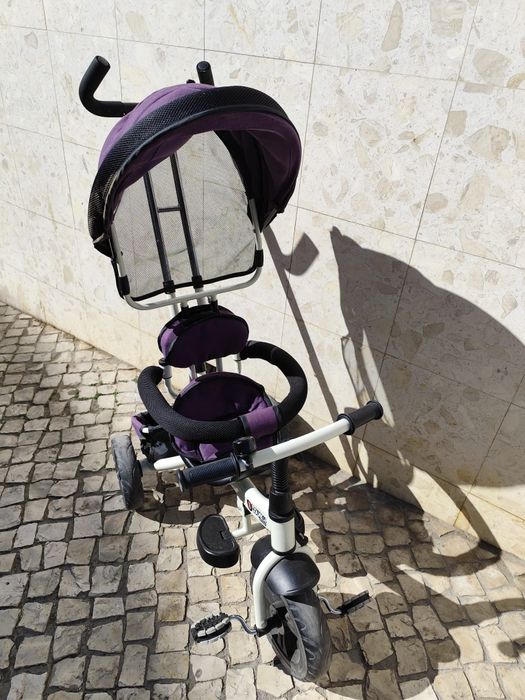 Triciclo evolutivo