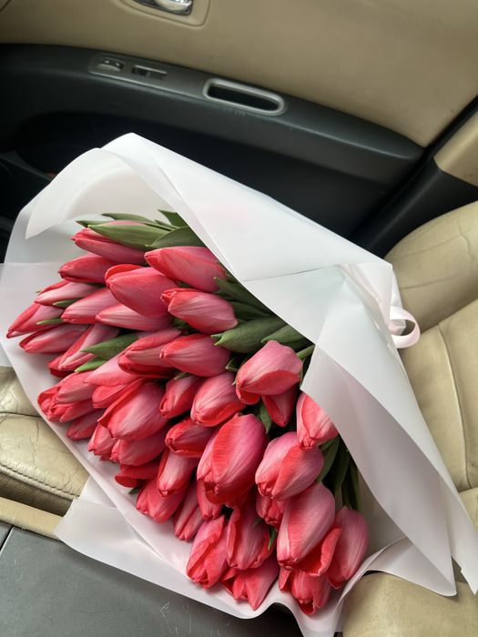 Тюльпан Український гурт роздріб