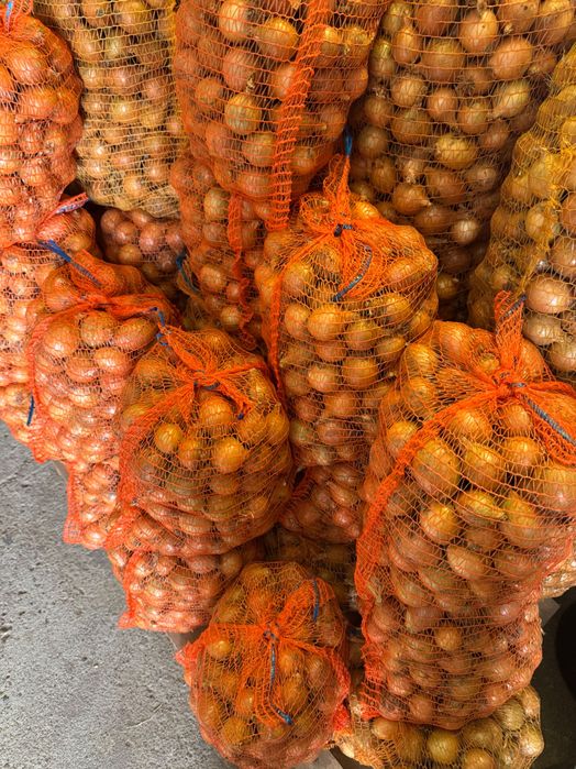 Sprzedam cebulę na worek