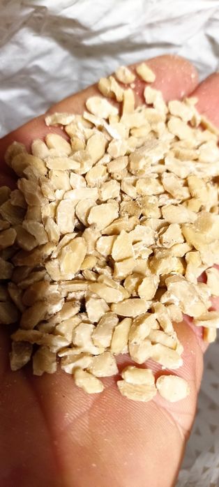 Жмых кедрового ореха ,макуха кедру ,кедровый жмих після віджиму олії