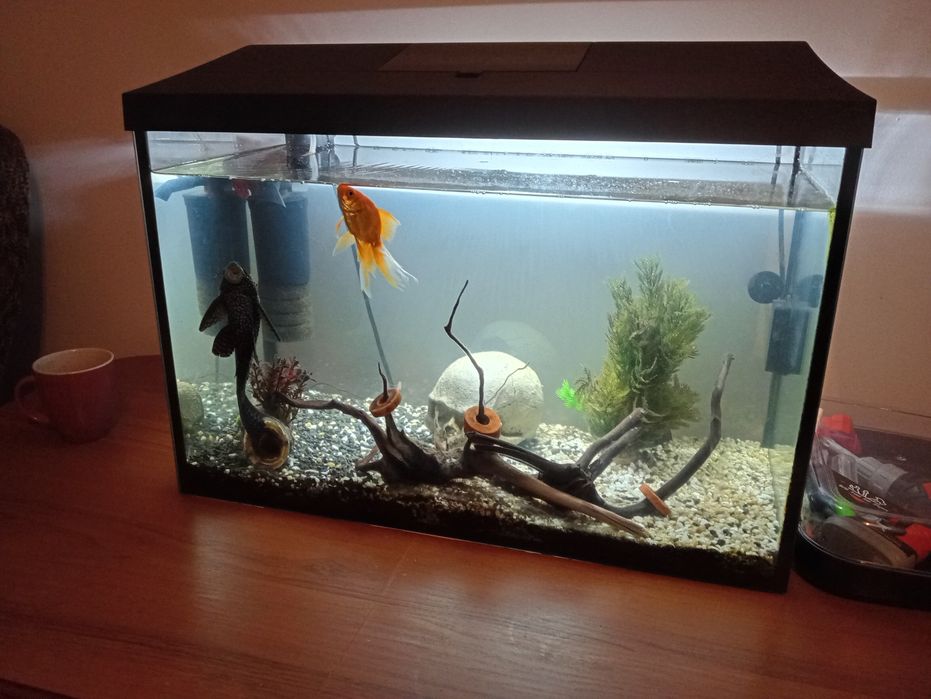 Akwarium aquael 72 L