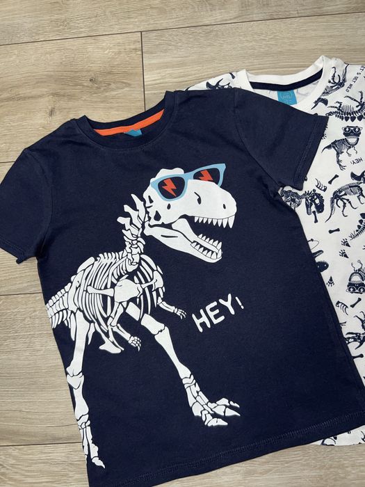 Набір футболок для хлопчика динозаври Little kids Pepco, футболка