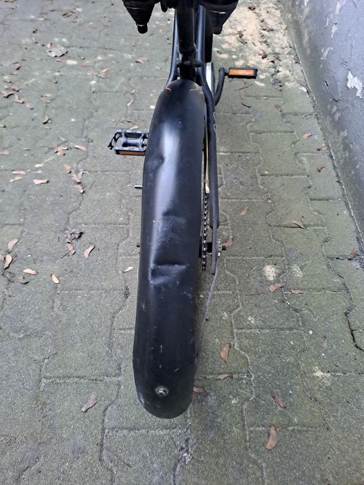 Rower Beach cruizer