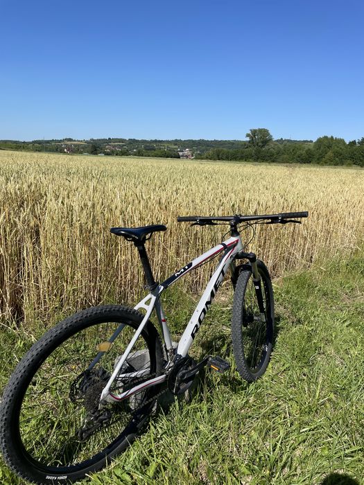 Rower górski/MTB Romet Mustang M1
