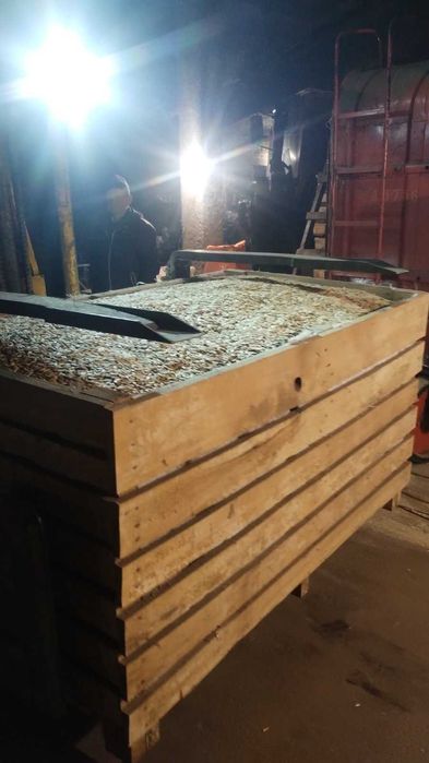 Гарбузове насіння