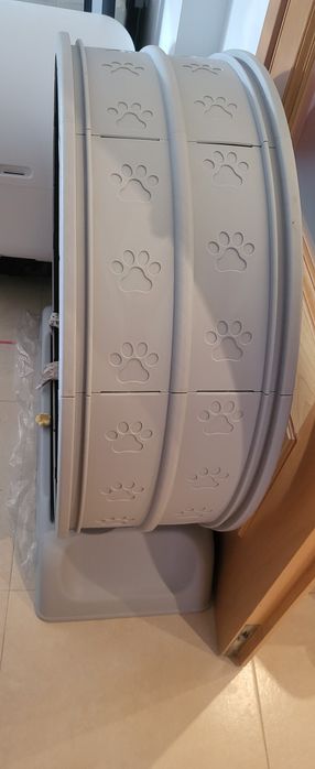 Roda de exercício para gatos