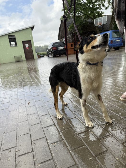 Pokochaj cudowną Tenę