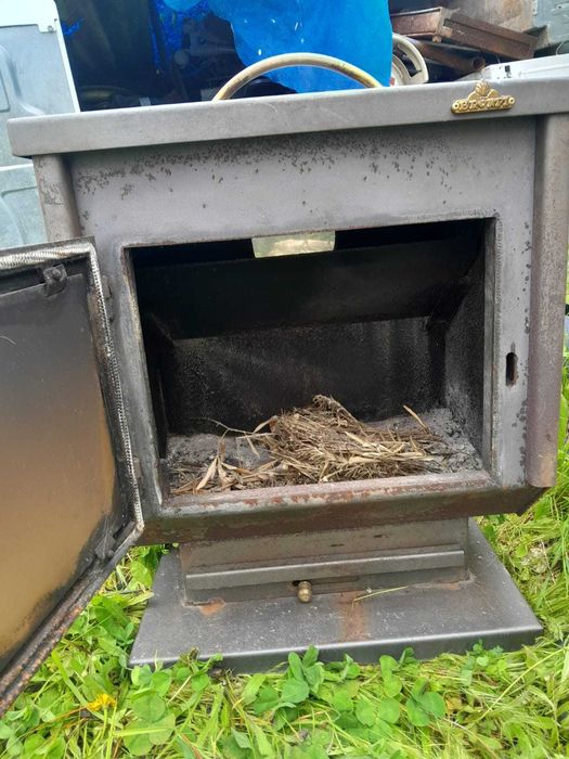 Salamandra em bom estado