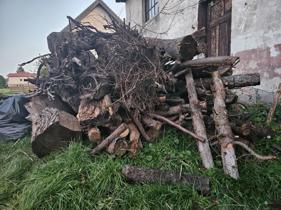 drewno na opał - różne