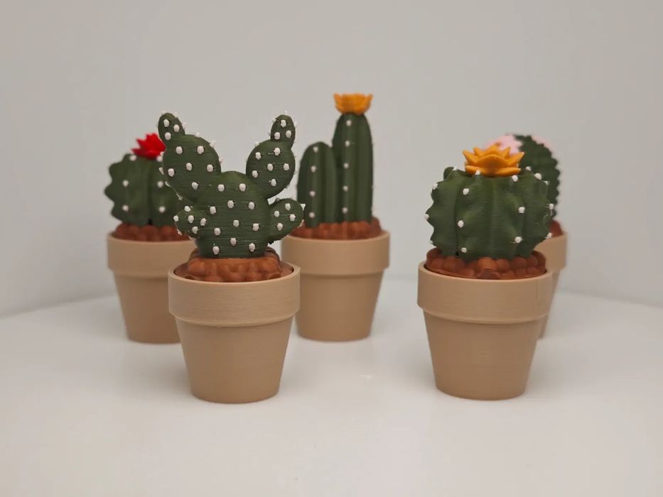 Decoração Divertida para Teclado: Cactos e Suculentas