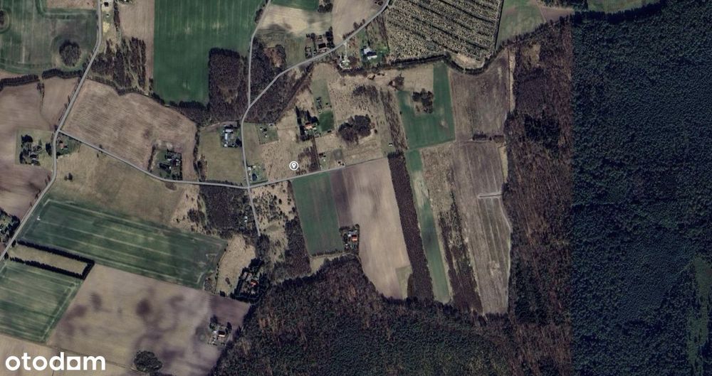 Działka budowlana z warunkami zabudowy, przy rezerwacie, 10km od morza