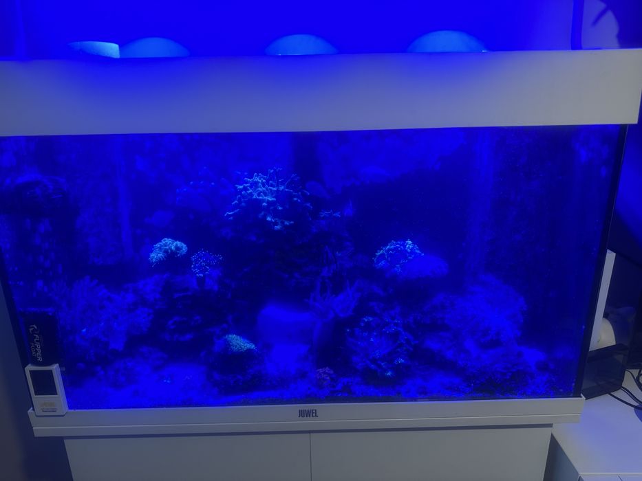 Akwarium (szafka i szklo)