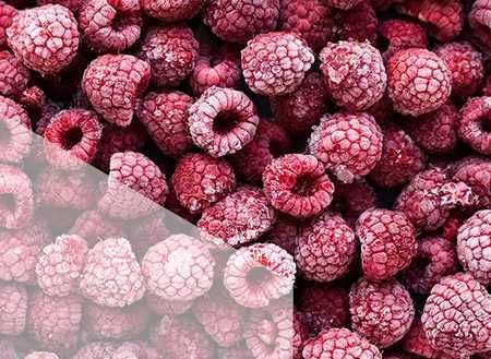 Mrożona malina od rolnika gospodarstwo opakowania po 1,5 kg