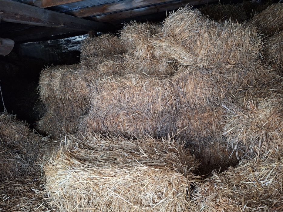 Snopki słomy-słoma w kostkach