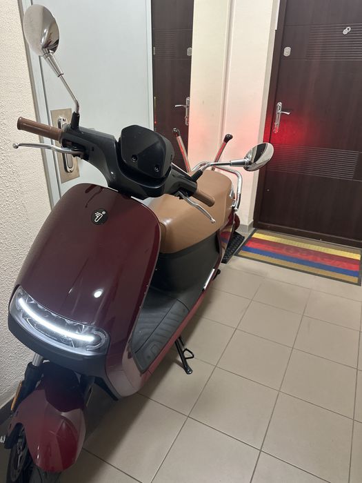 Скутер segway ninebot e110L