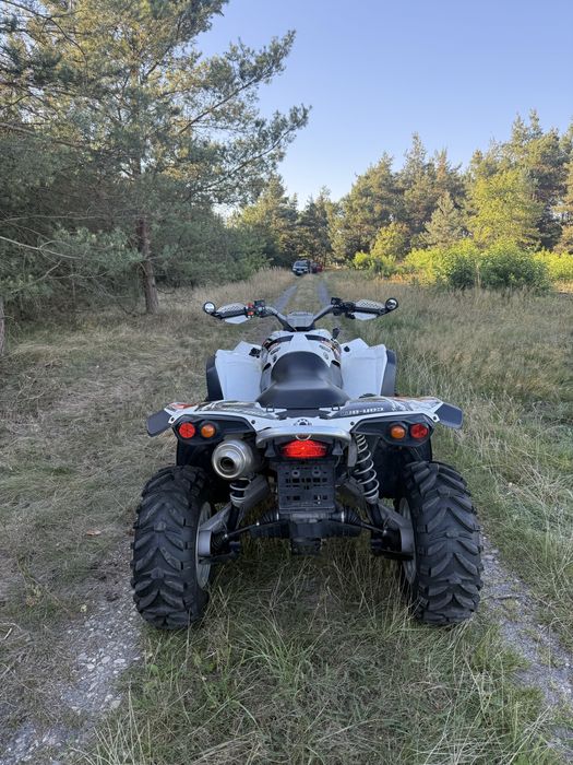 Can am renegade 500