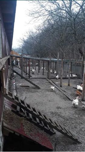 Приватне господарство с. Стіжок Тернопільська область