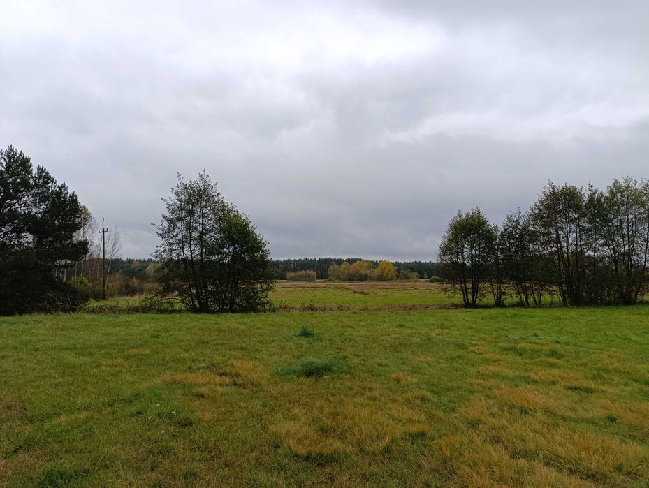 Działka budowlana 2ha + 1ha łąka Piaski gm. Koniecpol las spokój cisza