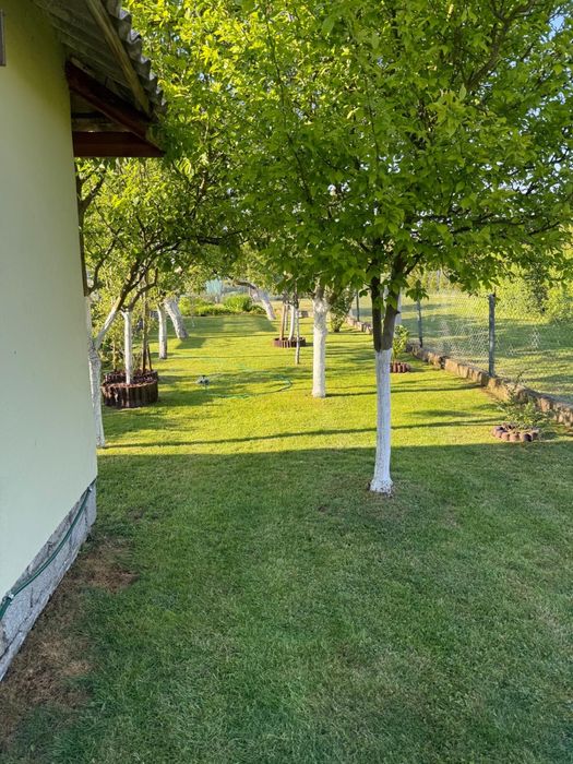 Sprzedam działkę ROD