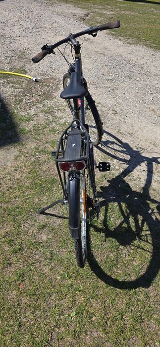 Rower Specialized Globe