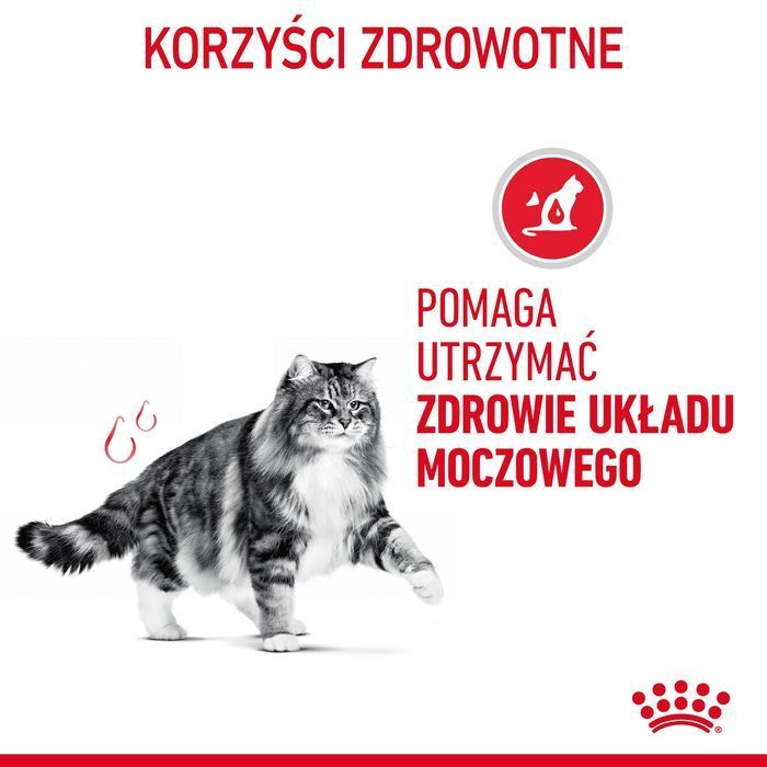 Royal Canin Urinary Care 2kg Karma Dla Kotów Z Problemami Moczowodowymi Dietetyczna Opieka Zdrowotna