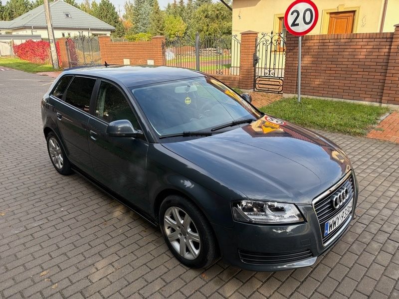 Audi A3 8P LIFT 1.9 TDI