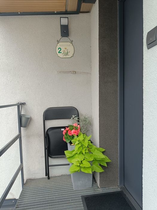 Śrem - Apartament na wynajem w samym centrum